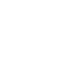 heavy studio web agency xocoi